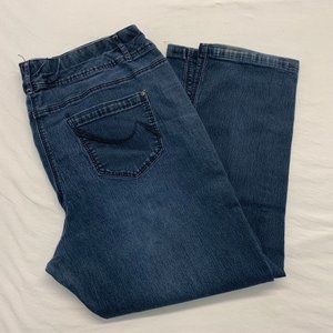 d/C Jeans Women's Size 24 High Waist Tapered Leg Stretch Blue Jeans